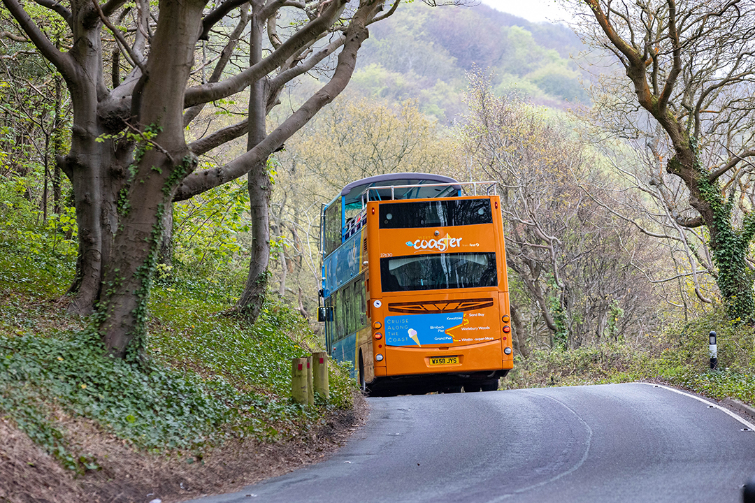 Yellow and blue open top bus on a road surrounded by woods